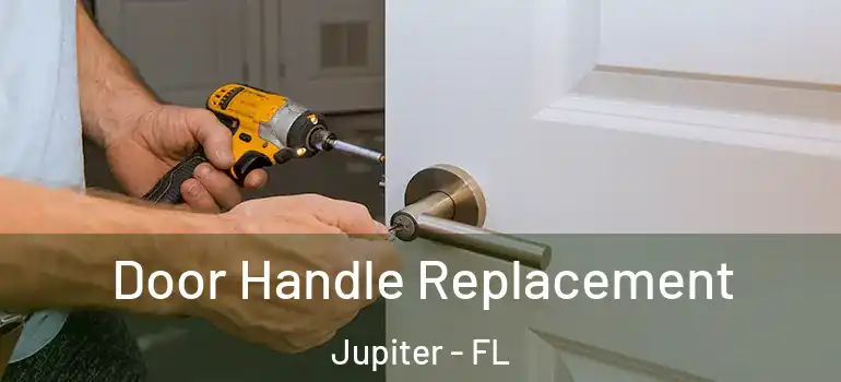  Door Handle Replacement Jupiter - FL