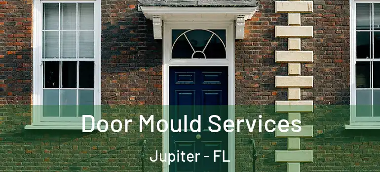  Door Mould Services Jupiter - FL