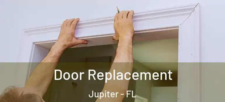  Door Replacement Jupiter - FL