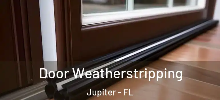  Door Weatherstripping Jupiter - FL