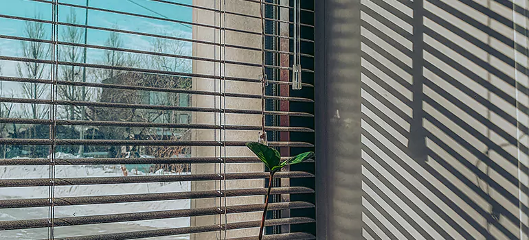 Commercial Window Blinds in Jupiter, FL