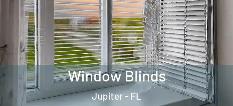  Window Blinds Jupiter - FL