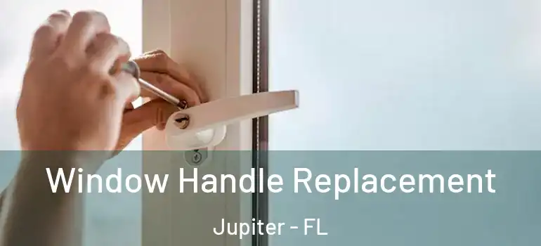  Window Handle Replacement Jupiter - FL