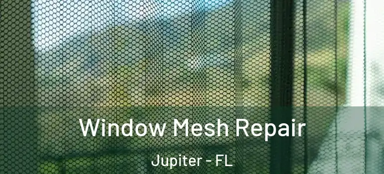  Window Mesh Repair Jupiter - FL