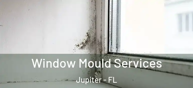  Window Mould Services Jupiter - FL