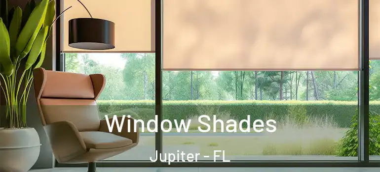 Window Shades Jupiter - FL
