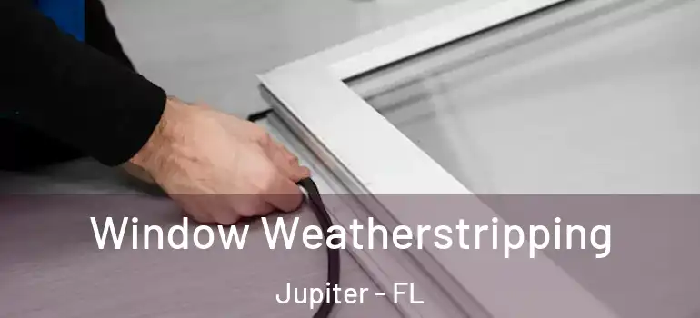  Window Weatherstripping Jupiter - FL